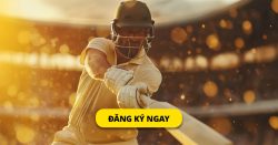 Cricket World Cup