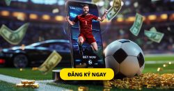 Sports Betting