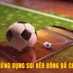 World Cup 2026