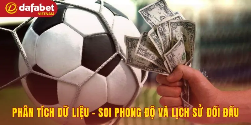 Các Dội Dự World Cup 2026