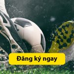 Soi Kèo Australia Vs Ai Cập