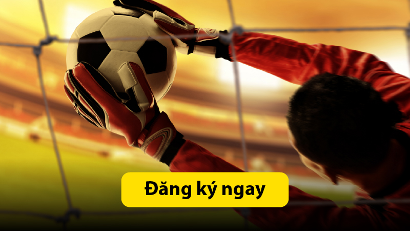 Brazil vs Na Uy